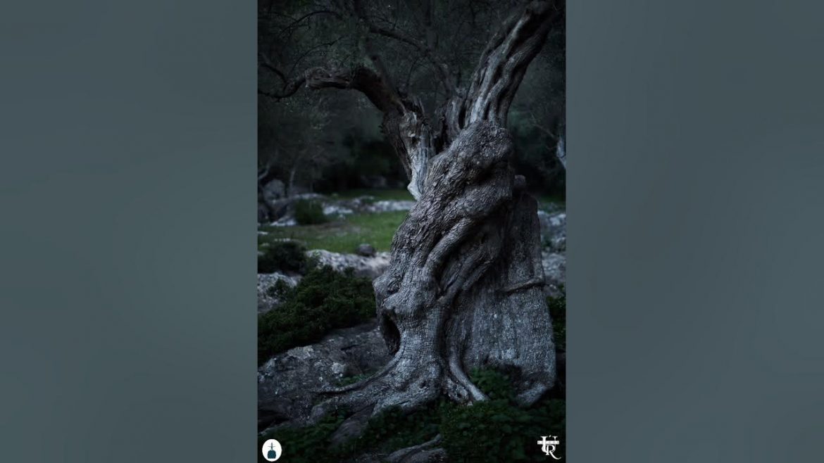 700000-curtains-and-years