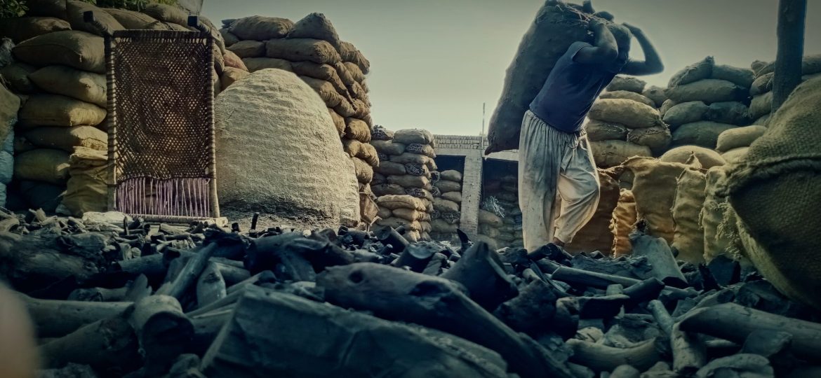 Manuscript-scaled-1 manuscript-scaled-1